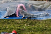 IJsvogel Spotten (2)