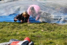 IJsvogel Spotten (2)