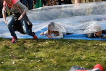 IJsvogel Spotten (2)