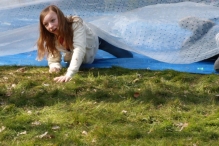 IJsvogel Spotten (2)