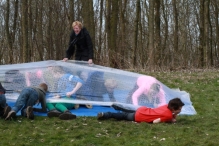 IJsvogel Spotten (2)