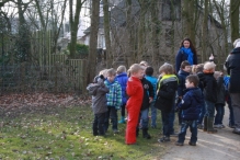 IJsvogel Spotten (2)