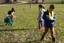 IJsvogel Spotten (2)