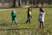 IJsvogel Spotten (2)