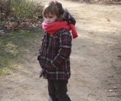 IJsvogel Spotten (2)