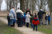 IJsvogel Spotten (2)