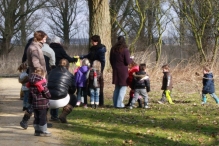 IJsvogel Spotten (2)