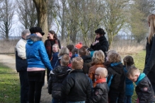 IJsvogel Spotten (2)