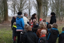 IJsvogel Spotten (2)