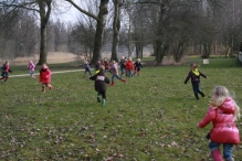 IJsvogel Spotten (2)