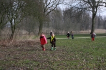 IJsvogel Spotten (2)