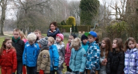 IJsvogel Spotten (2)