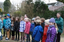 IJsvogel Spotten (2)