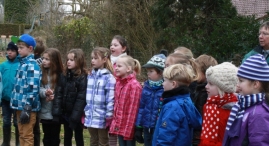 IJsvogel Spotten (2)