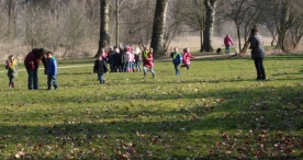 IJsvogel Spotten (2)