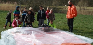 IJsvogel Spotten (2)