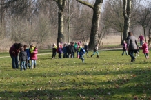 IJsvogel Spotten (2)