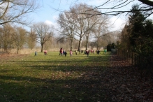 IJsvogel Spotten (2)