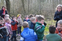 IJsvogel Spotten (2)