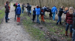 IJsvogel Spotten (2)