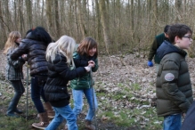 IJsvogel Spotten (2)