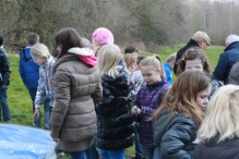 IJsvogel Spotten (2)