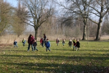 IJsvogel Spotten (2)