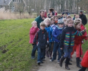 IJsvogel Spotten (2)