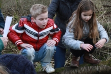 IJsvogel Spotten (2)