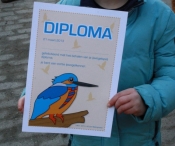 IJsvogel Spotten (2)