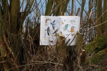 IJsvogel Spotten (2)