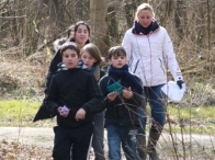 IJsvogel Spotten (2)