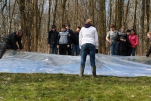 IJsvogel Spotten (2)