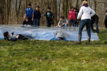 IJsvogel Spotten (2)