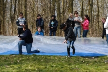 IJsvogel Spotten (2)