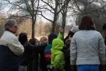 IJsvogel Spotten (2)