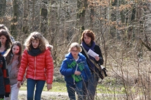 IJsvogel Spotten (2)