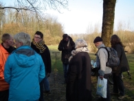 IJsvogel Spotten (1)