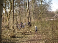 IJsvogel Spotten (1)