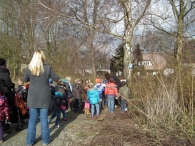 IJsvogel Spotten (1)