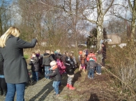 IJsvogel Spotten (1)