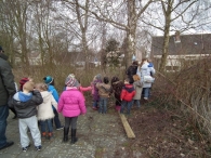 IJsvogel Spotten (1)