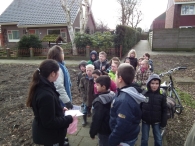 IJsvogel Spotten (1)