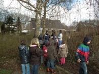 IJsvogel Spotten (1)