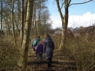 IJsvogel Spotten (1)