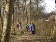 IJsvogel Spotten (1)