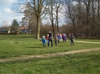 IJsvogel Spotten (1)