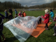 IJsvogel Spotten (1)