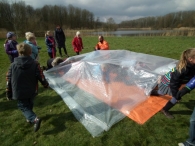 IJsvogel Spotten (1)