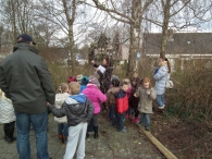 IJsvogel Spotten (1)